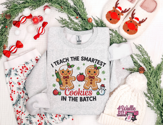 I Teach the Smartest Cookies