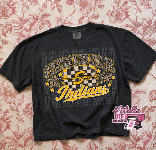Leopard Seminole Indians Spirit