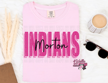 PINK Mascot & Town